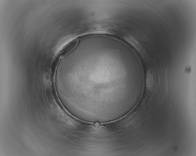 X0000115331452200911161758