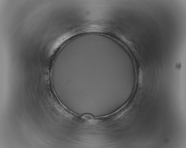 X0000115331453200911161758