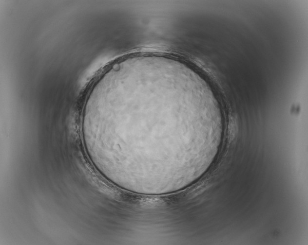 X0000115331454200911161758