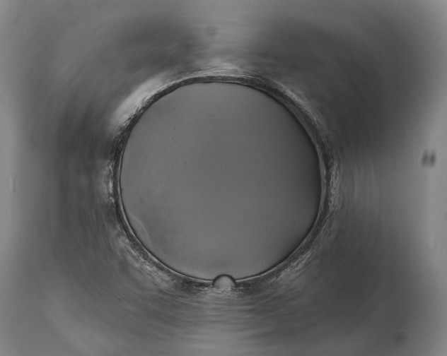 X0000115331455200911161758