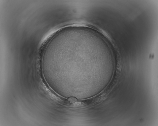 X0000115331456200911161758