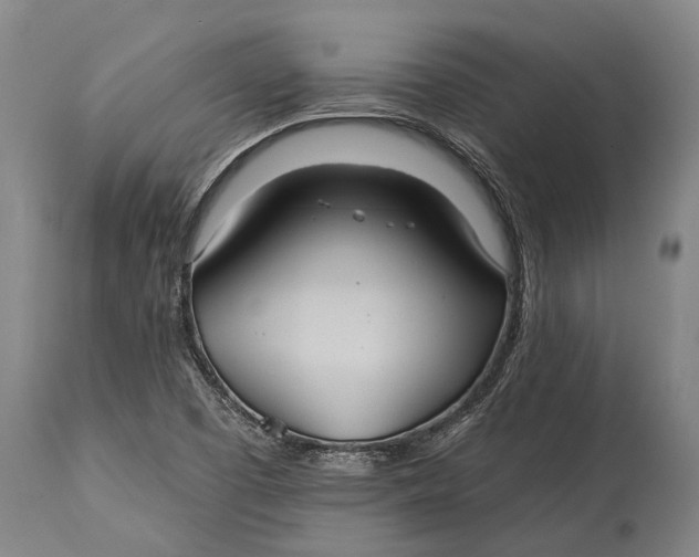 X0000115331457200911161758
