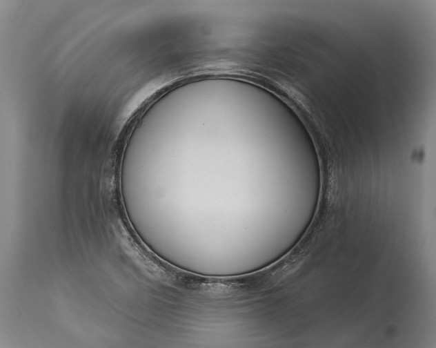 X0000115331458200911161757