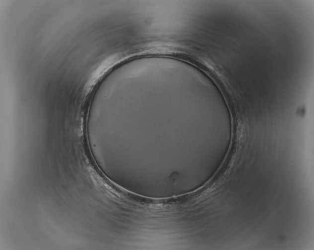 X0000115331459200911161757
