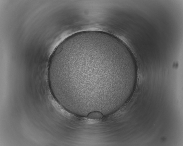 X0000115331460200911161757