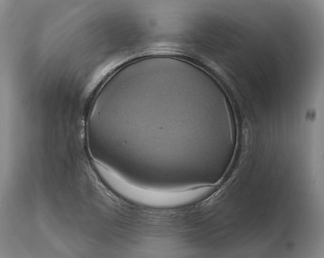 X0000115331461200911161757