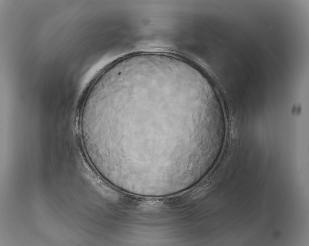 X0000115331462200911161757