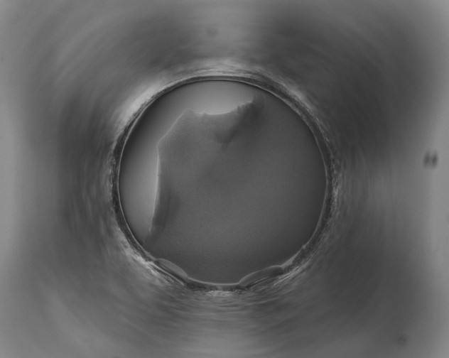 X0000115331463200911161757