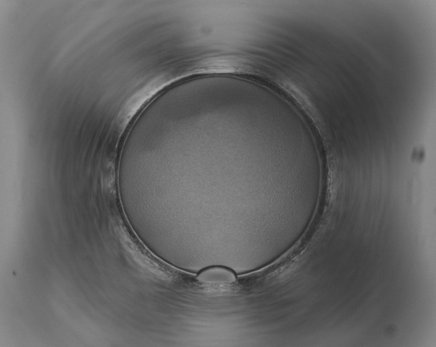 X0000115331465200911161757