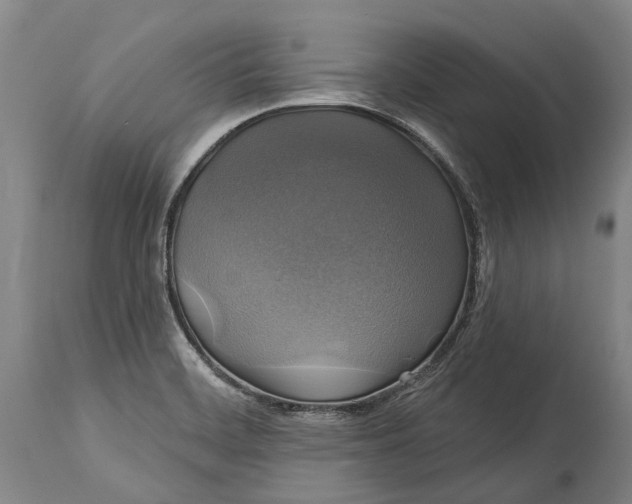 X0000115331468200911161757