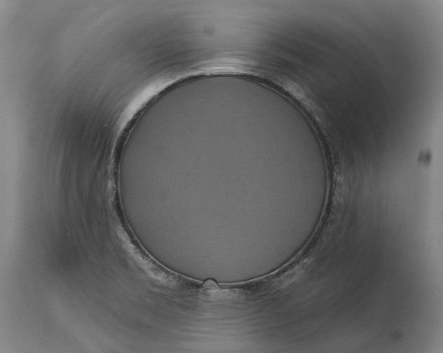 X0000115331469200911161757