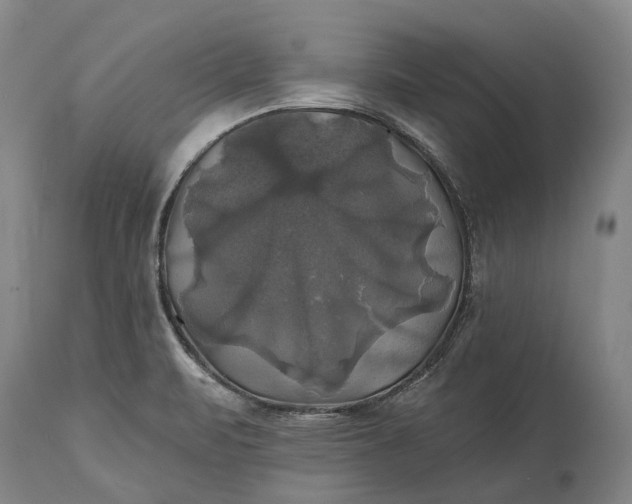 X0000115331471200911161757