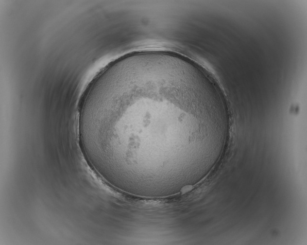 X0000115331472200911161757