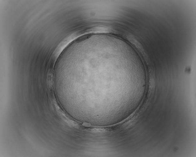 X0000115331473200911161757
