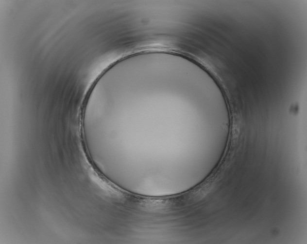 X0000115331474200911161757