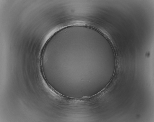X0000115331475200911161757