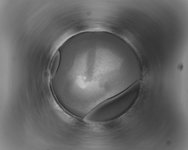 X0000115331476200911161757