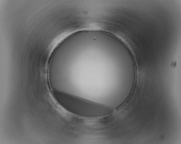 X0000115331477200911161757