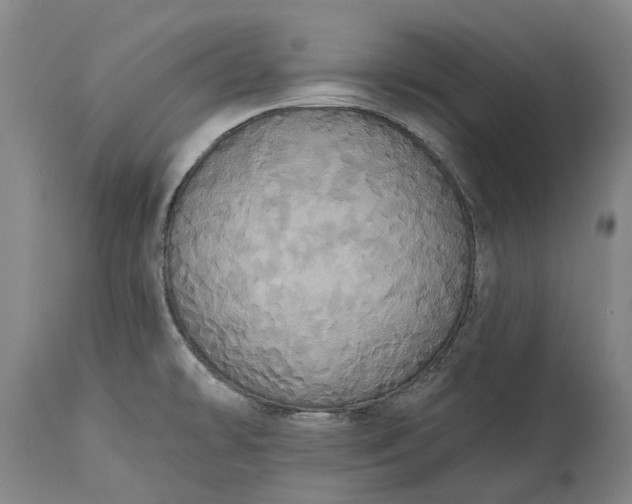 X0000115331478200911161757