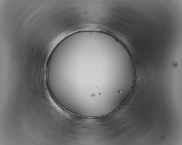 X0000115331479200911161757