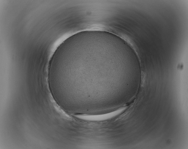 X0000115331480200911161757