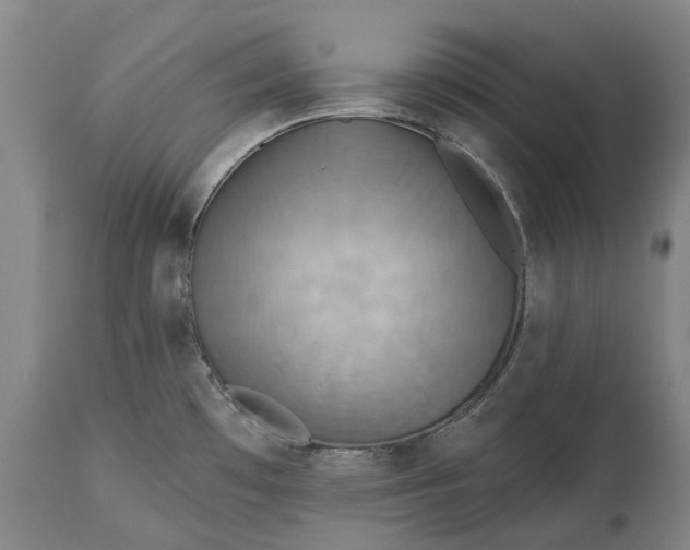 X0000115331481200911161757