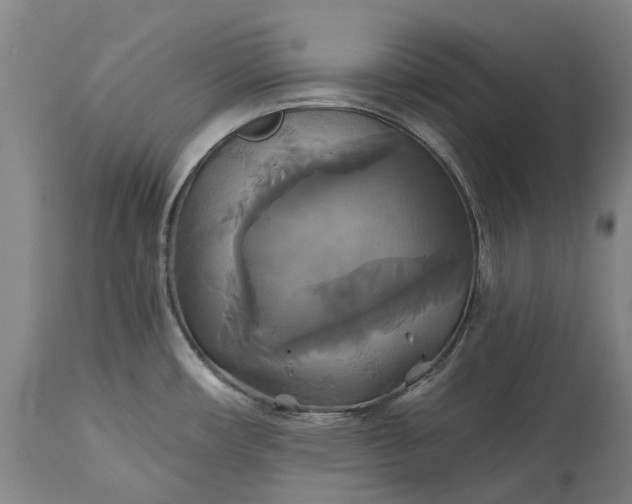 X0000115331482200911161757