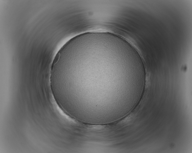 X0000115331484200911161757