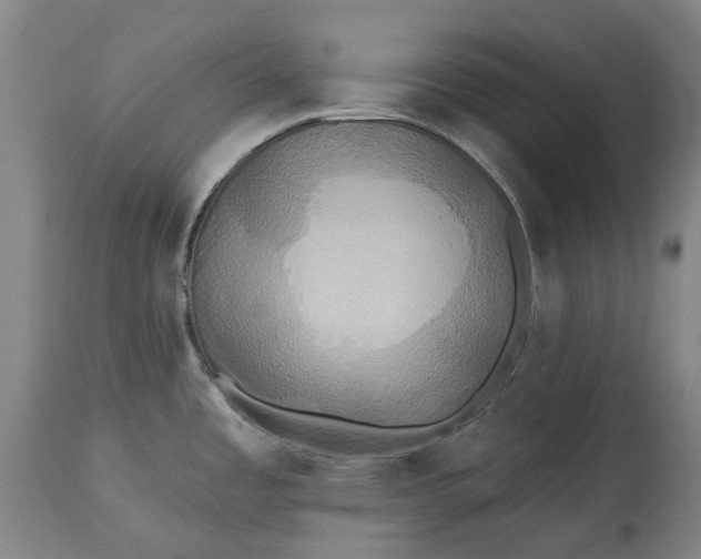X0000115331485200911161757