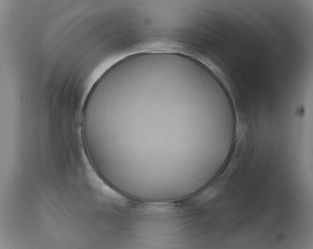 X0000115331486200911161757