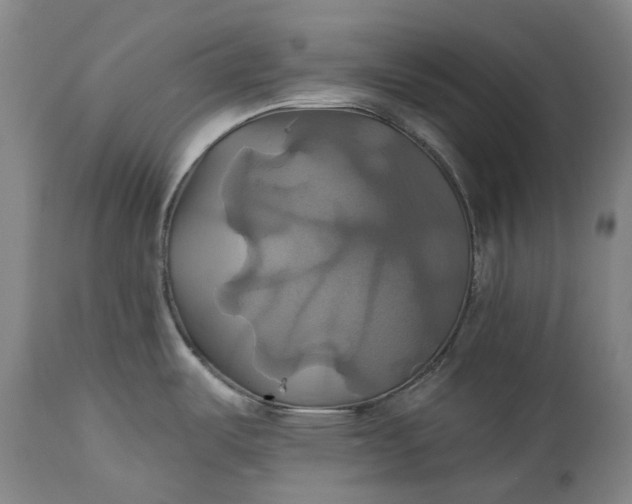 X0000115331487200911161757
