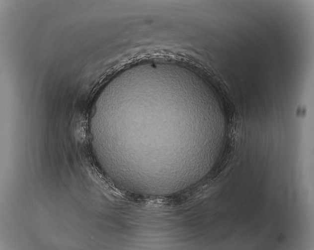 X0000115331490200911161756