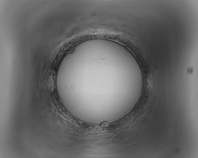 X0000115331493200911161756