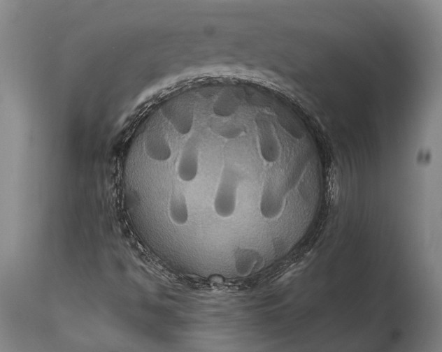 X0000115331494200911161756