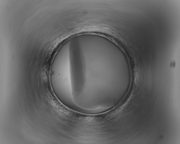 X0000115331497200911161757