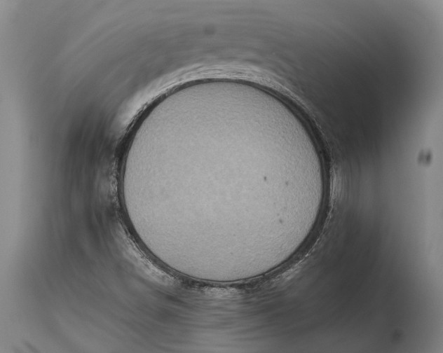 X0000115331498200911161757