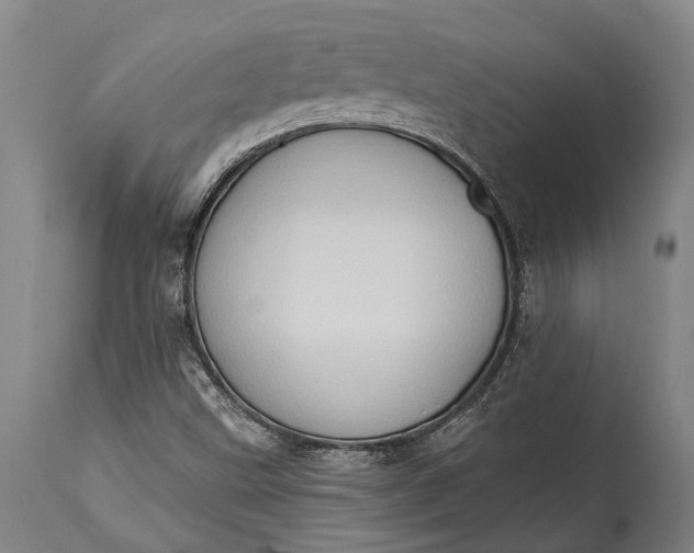 X0000115331499200911161757