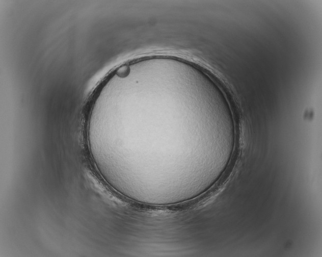 X0000115331502200911161757