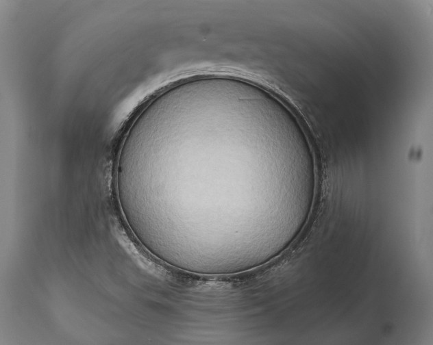 X0000115331503200911161757