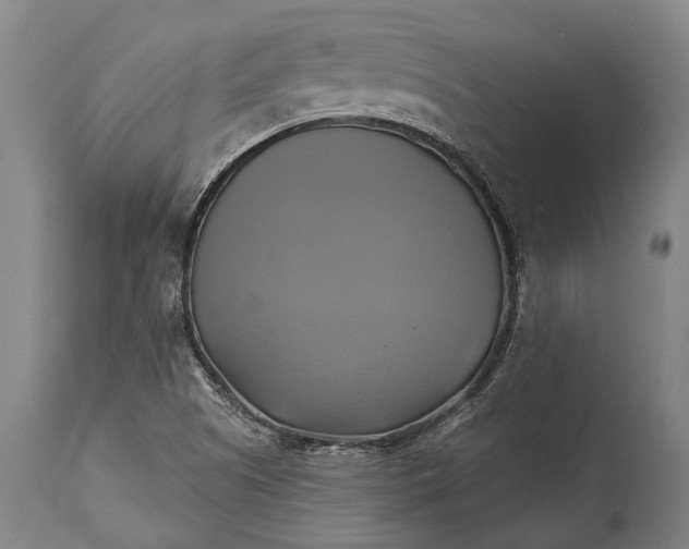X0000115331505200911161757