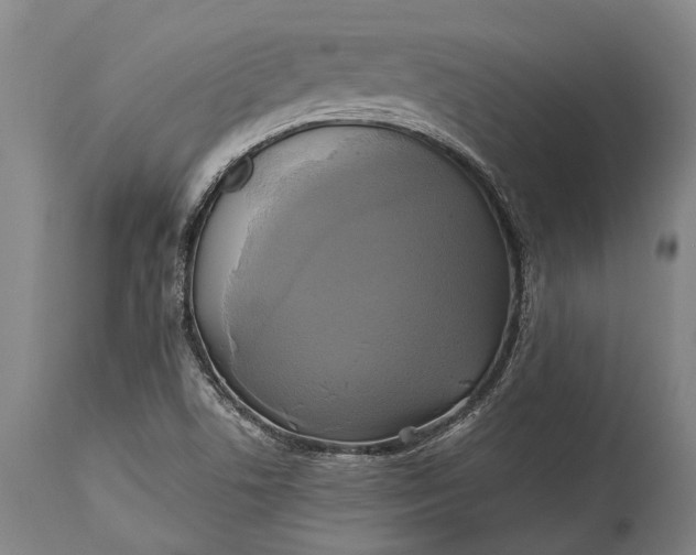 X0000115331506200911161757