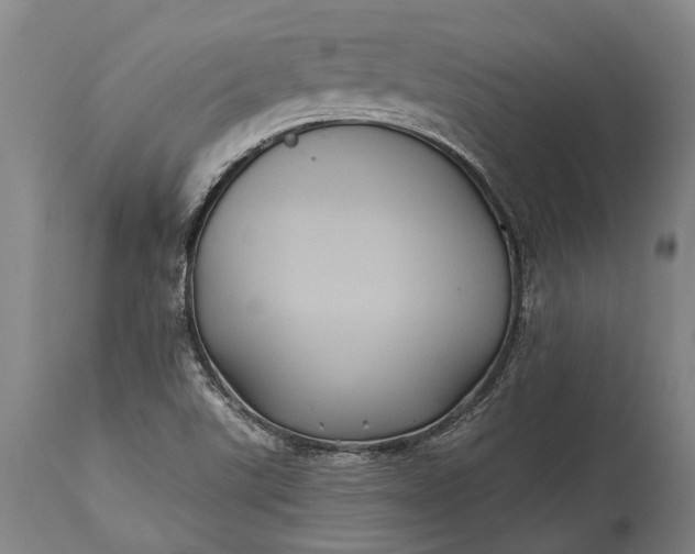 X0000115331507200911161757