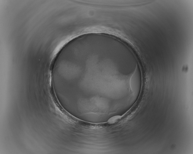 X0000115331509200911161757