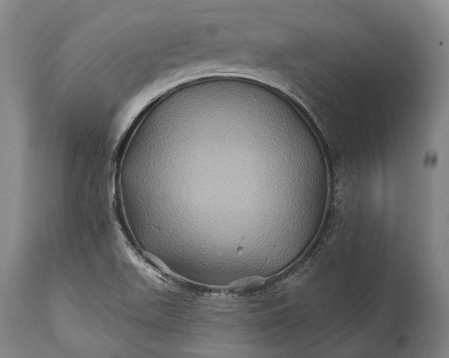 X0000115331511200911161757