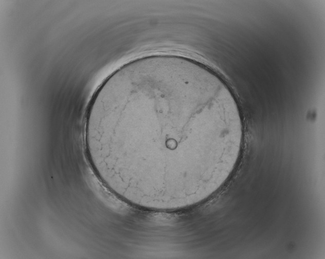 X0000115331514200911161757