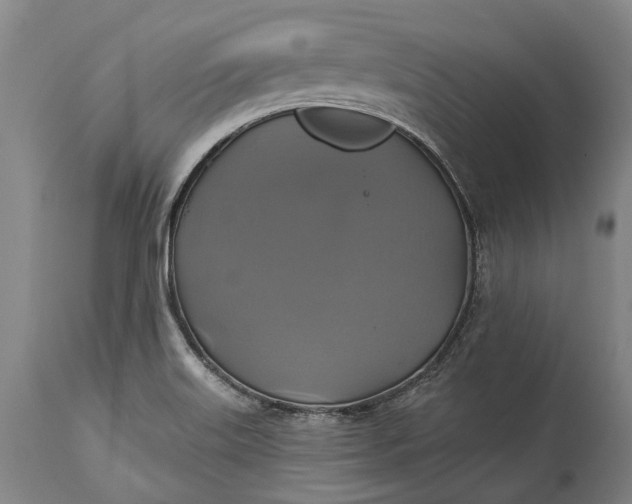X0000115331515200911161757
