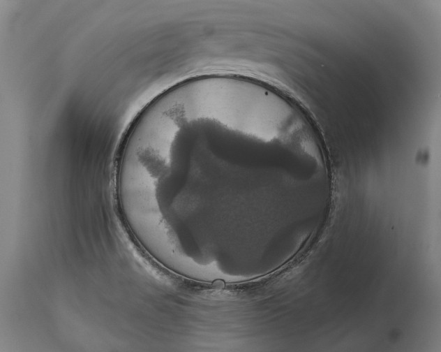 X0000115331517200911161757