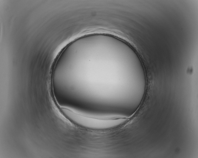 X0000115331518200911161757