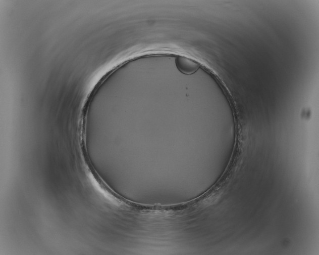 X0000115331519200911161757