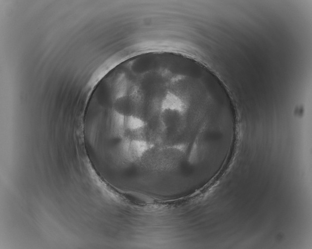 X0000115331521200911161757